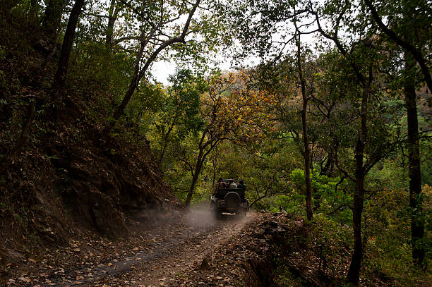 Jim Corbett National Park